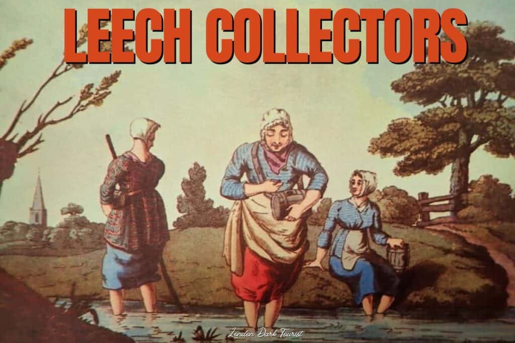 Colorful illustration titled 'LEECH COLLECTORS', depicting three women wading through water, collecting leeches in the rural setting of Victorian England. The central figure examines a leech in her hand, while the pastoral landscape with trees and a church steeple in the background contrasts the unpleasant nature of their occupation.